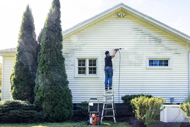 Best Roof Pressure Washing  in Shelbyville, TN