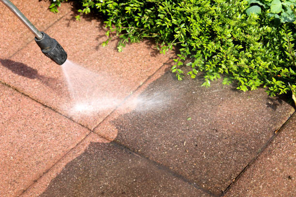 Best Exterior Home Cleaning  in Shelbyville, TN